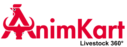 Animkart.com