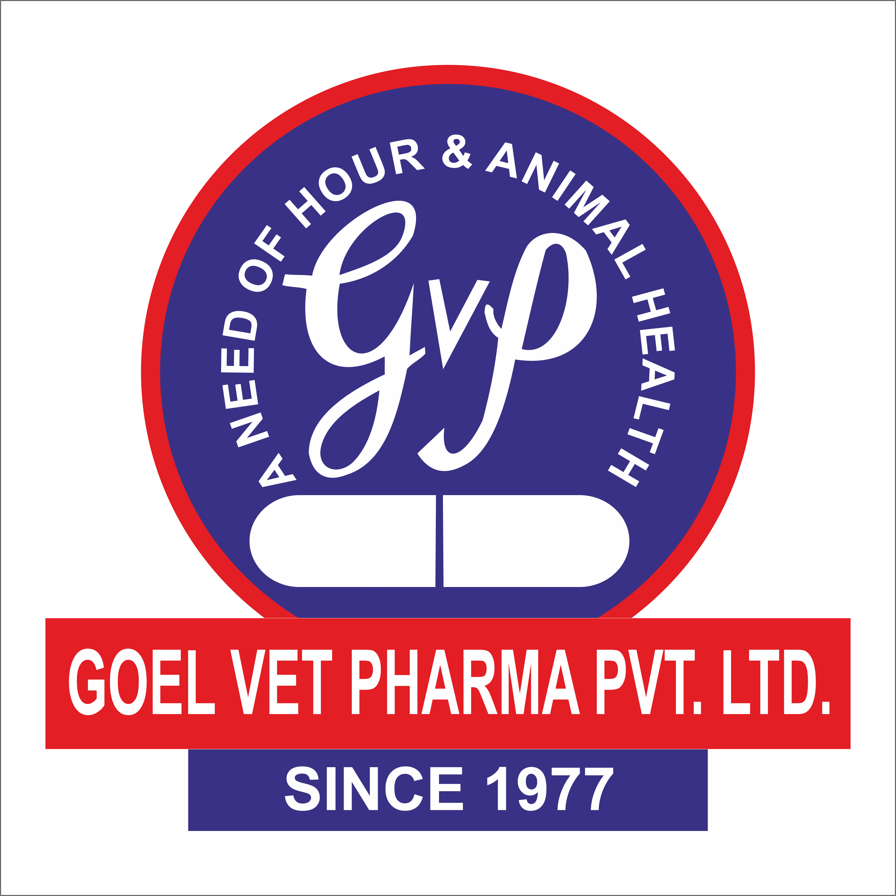 Dr. Goel's