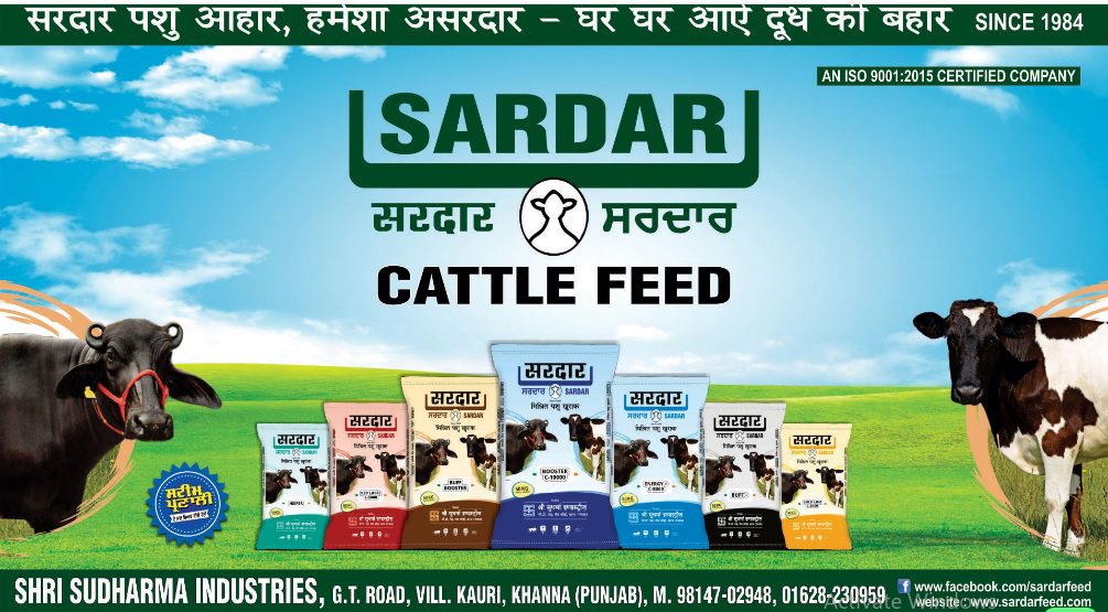 Sardar Feed