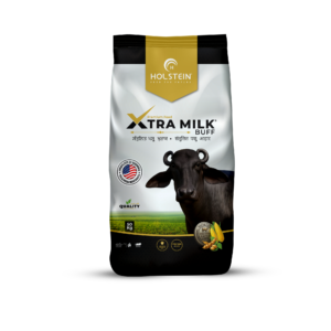 Holstein XTRA-Milk Buff feed supplement for buffaloes to increase milk yield, fat percentage, and overall productivity