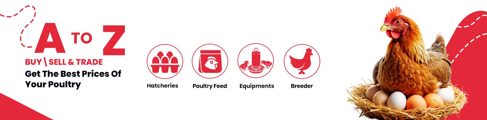 poultry chicken feed
