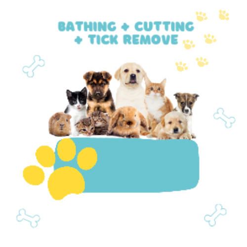 20231129_180703_0000 (1)