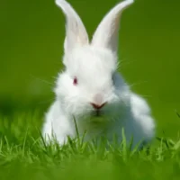 Untitled design (71)